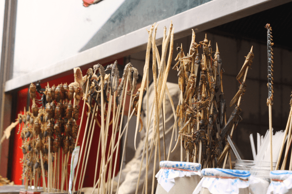 2009_0327Beijing0015